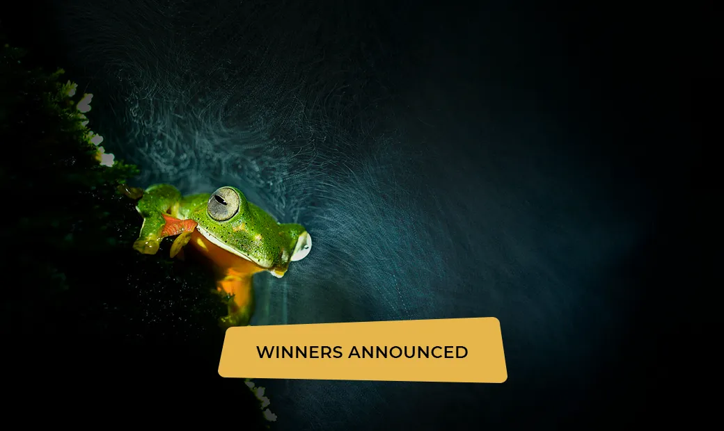 PA2F24 Square Ad-WINNERS
