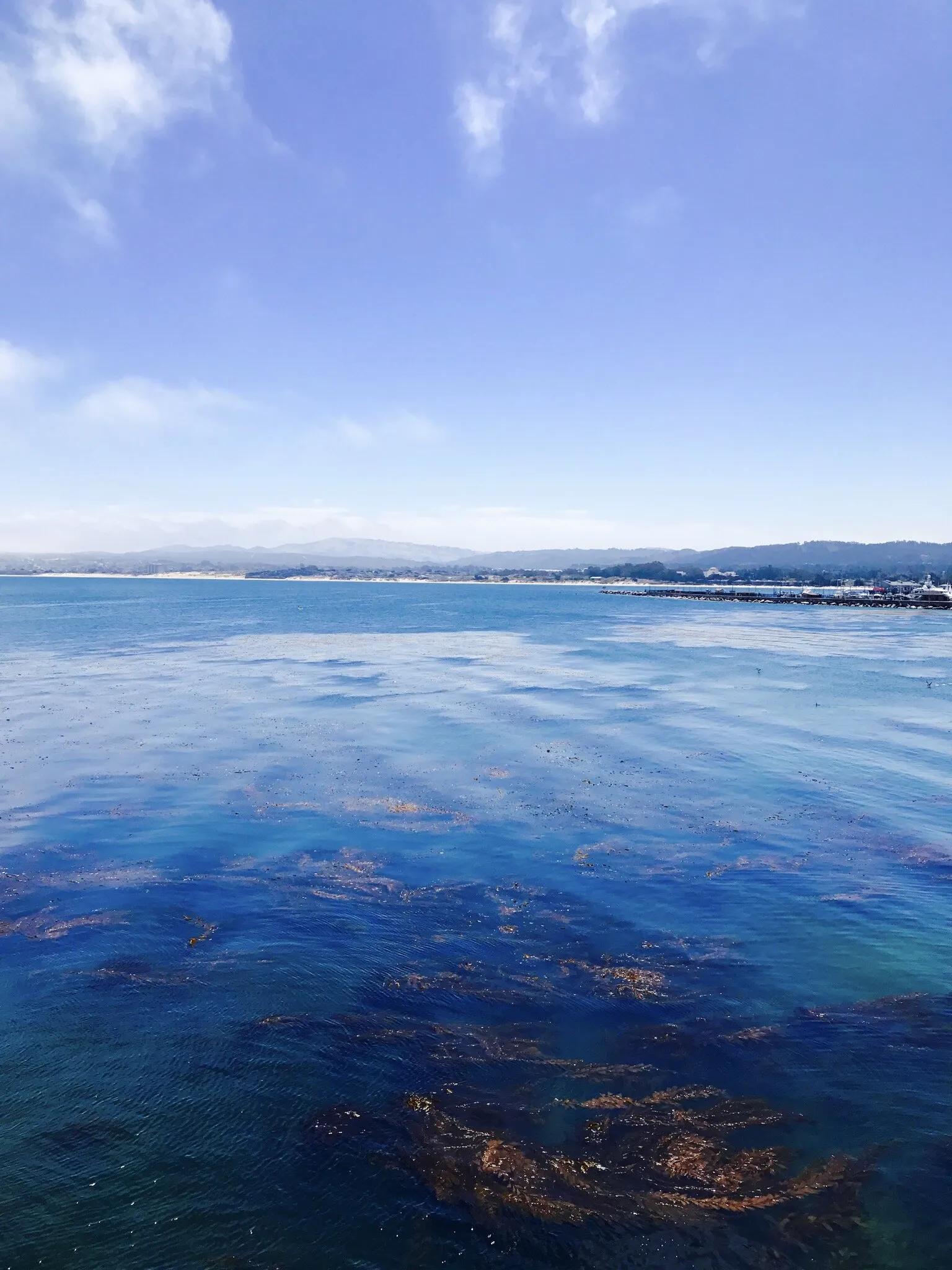 Monterey Bay