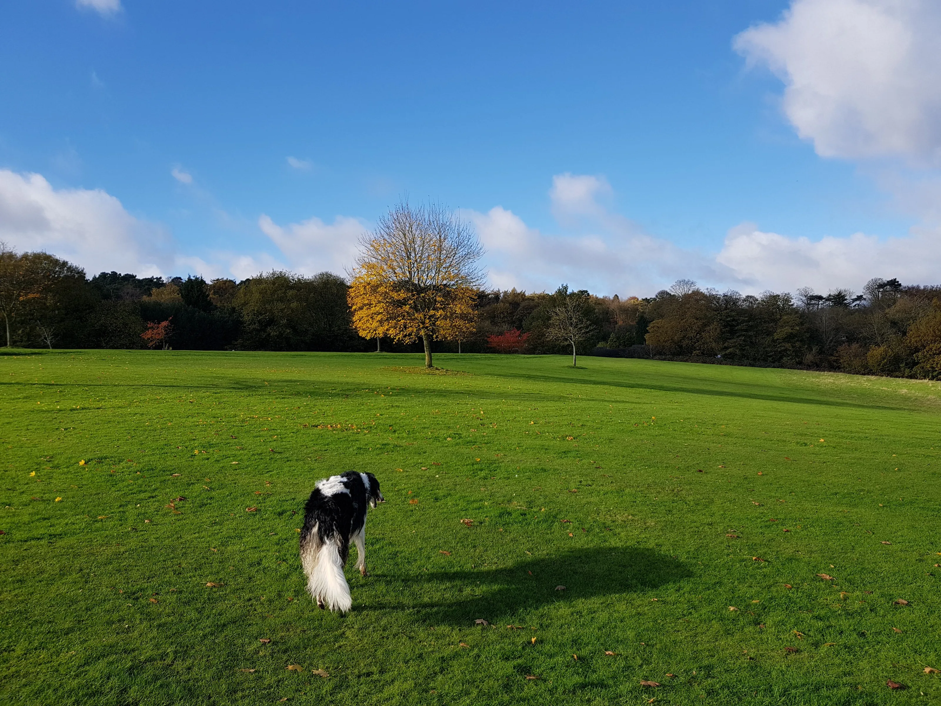 Sunny autumn day