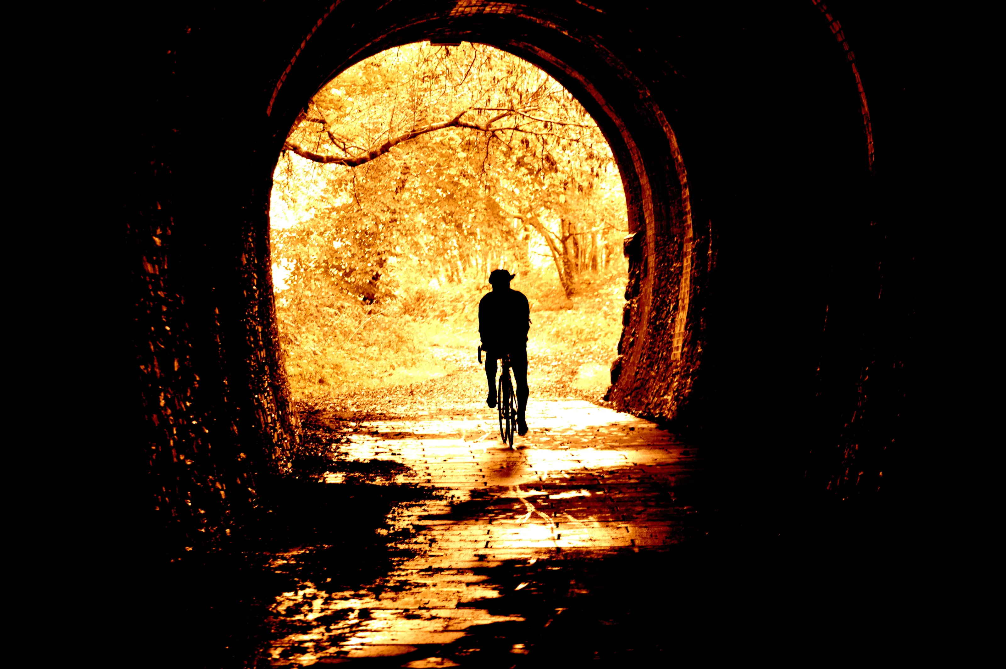 Slow Glide into Autumn
