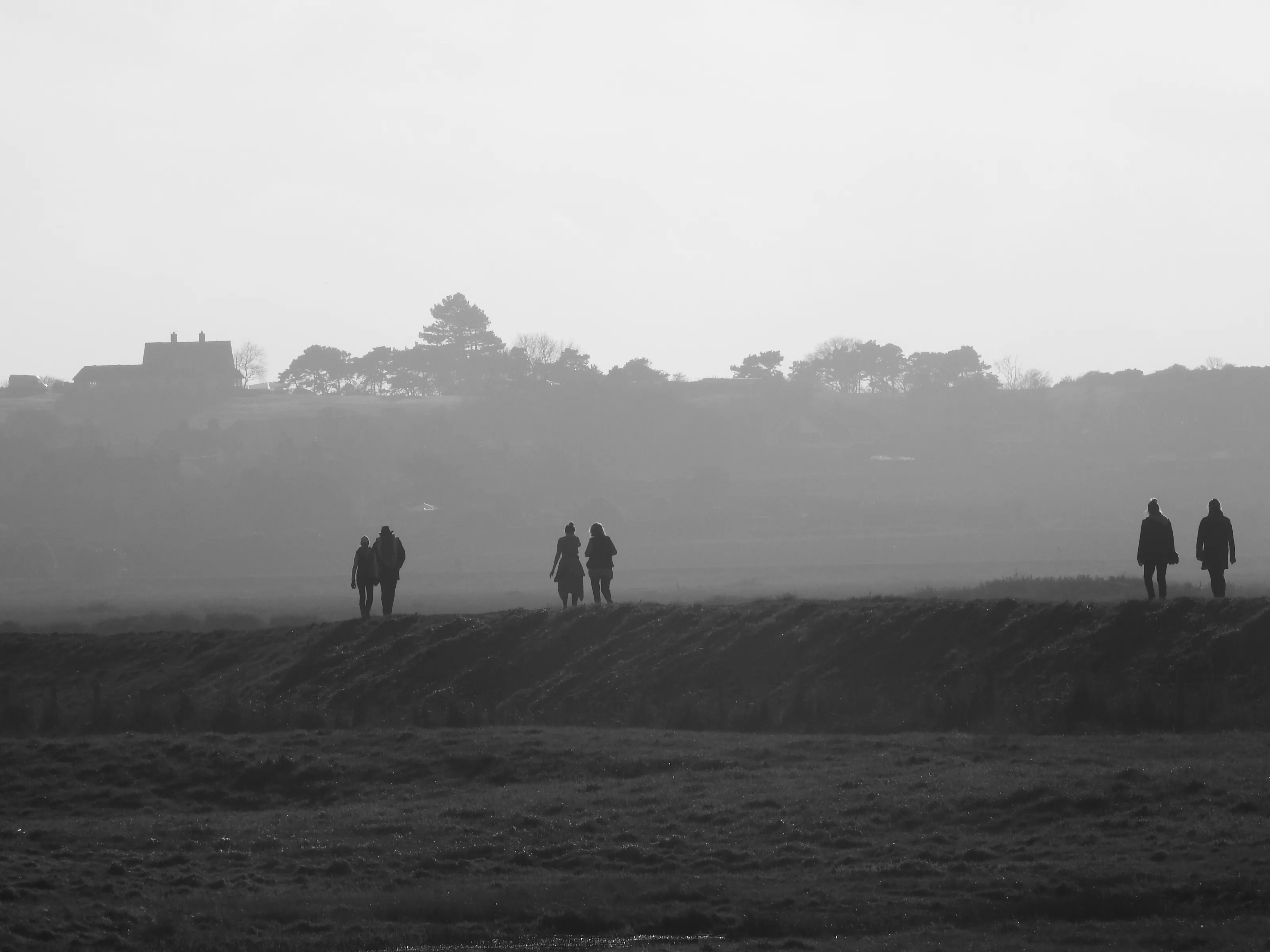 Walkers in the mist