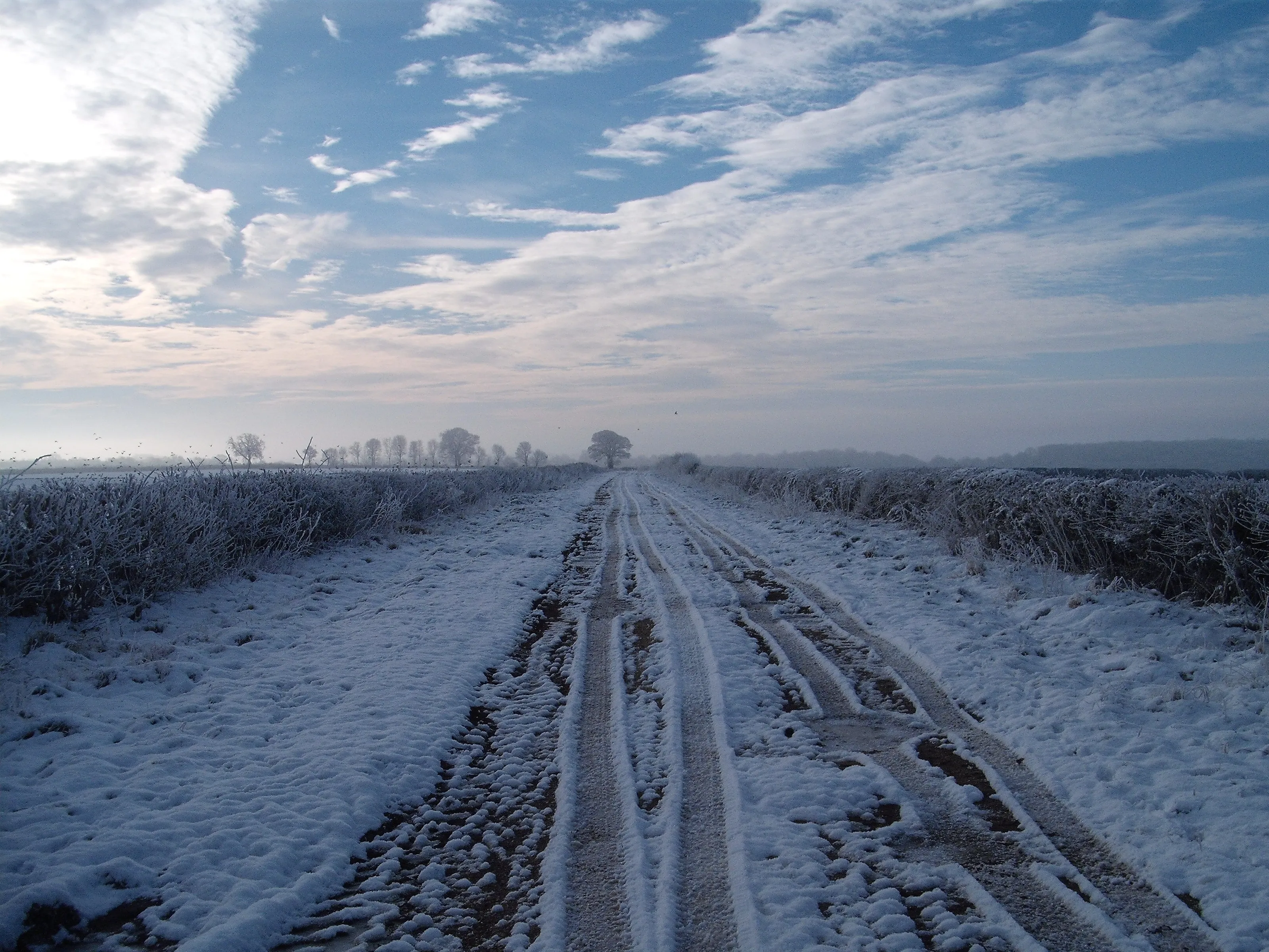 Winter Blue.
