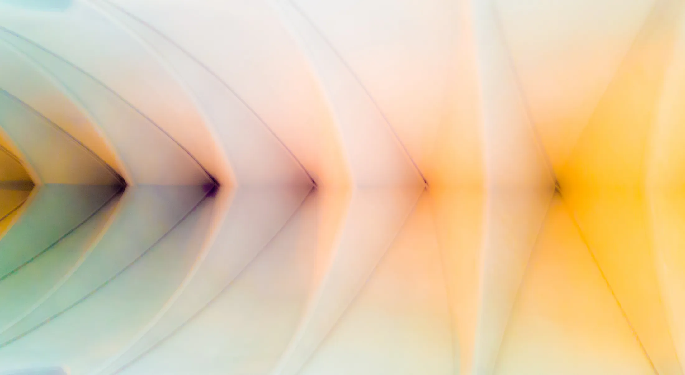 Entry 1309764