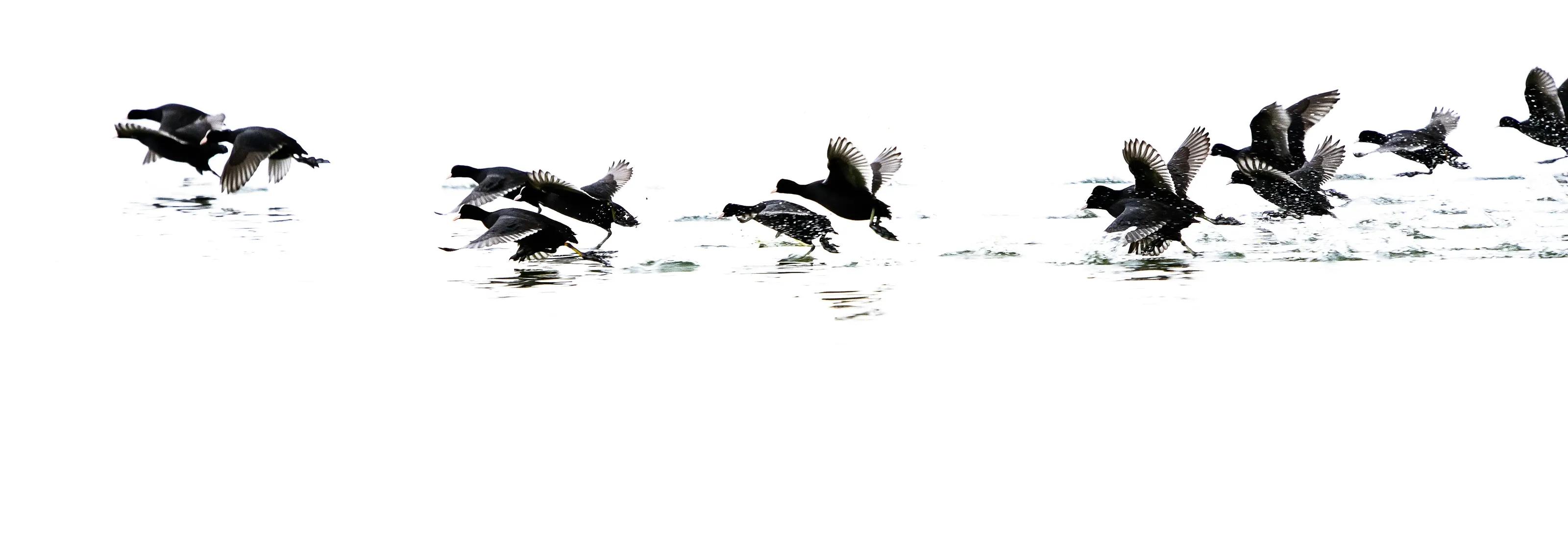 Walking on water