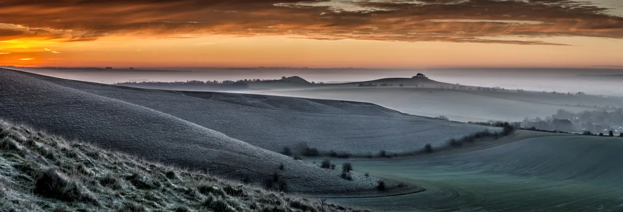 Entry 1313423