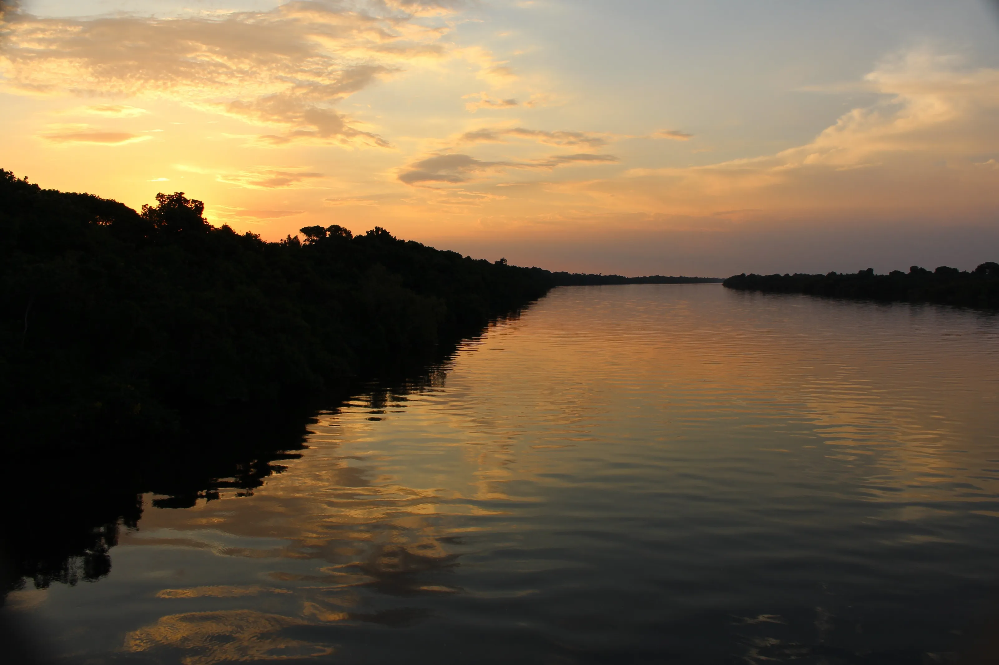 My Amazon Sunrise.
