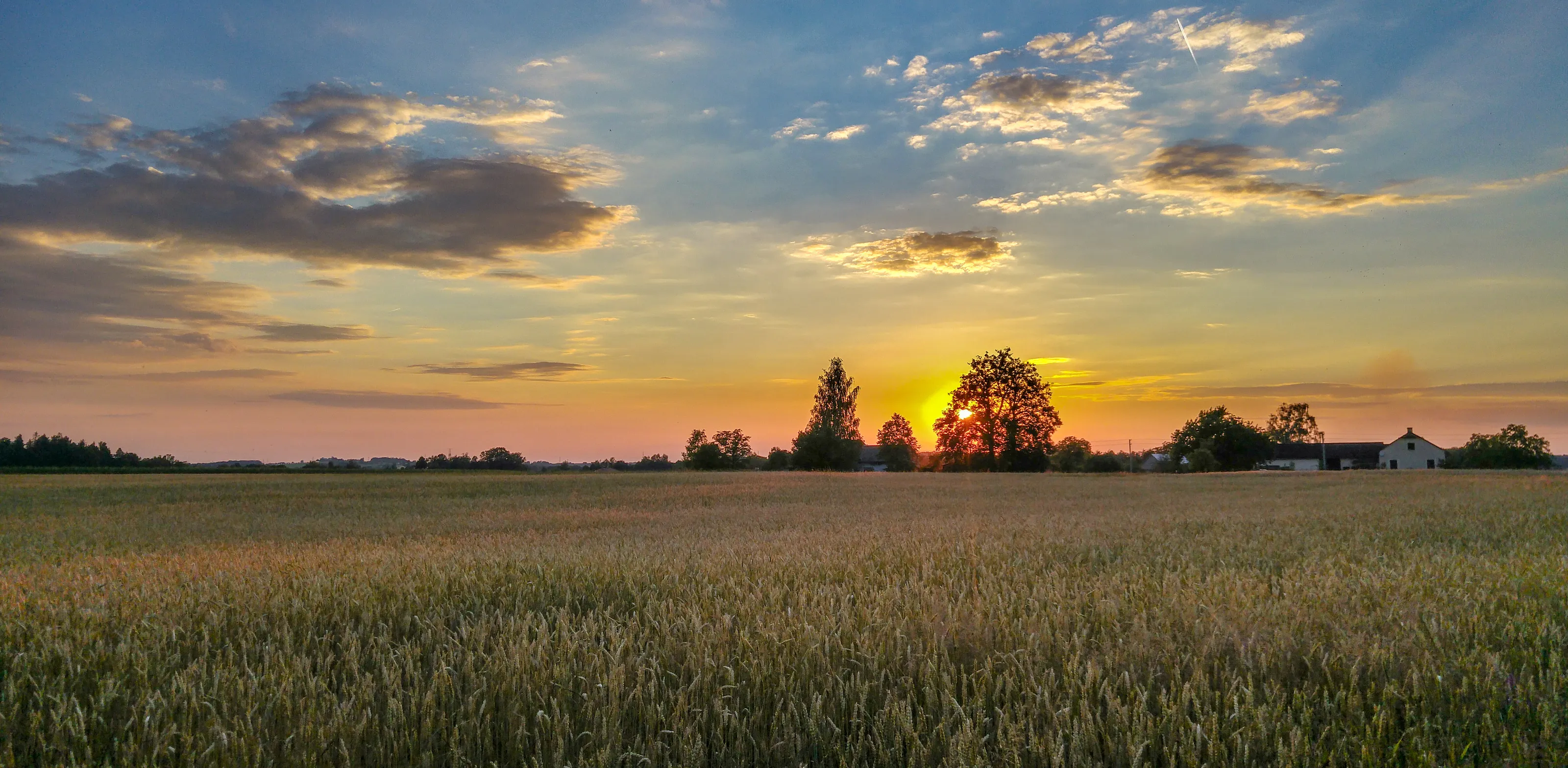Sunset panorama