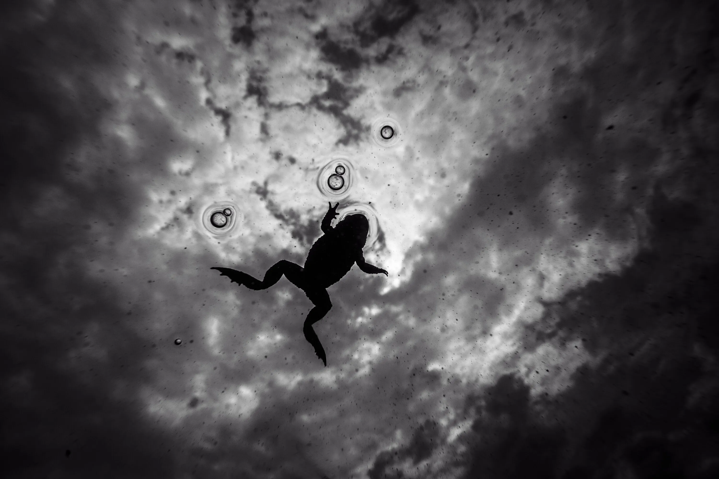 On the bubble