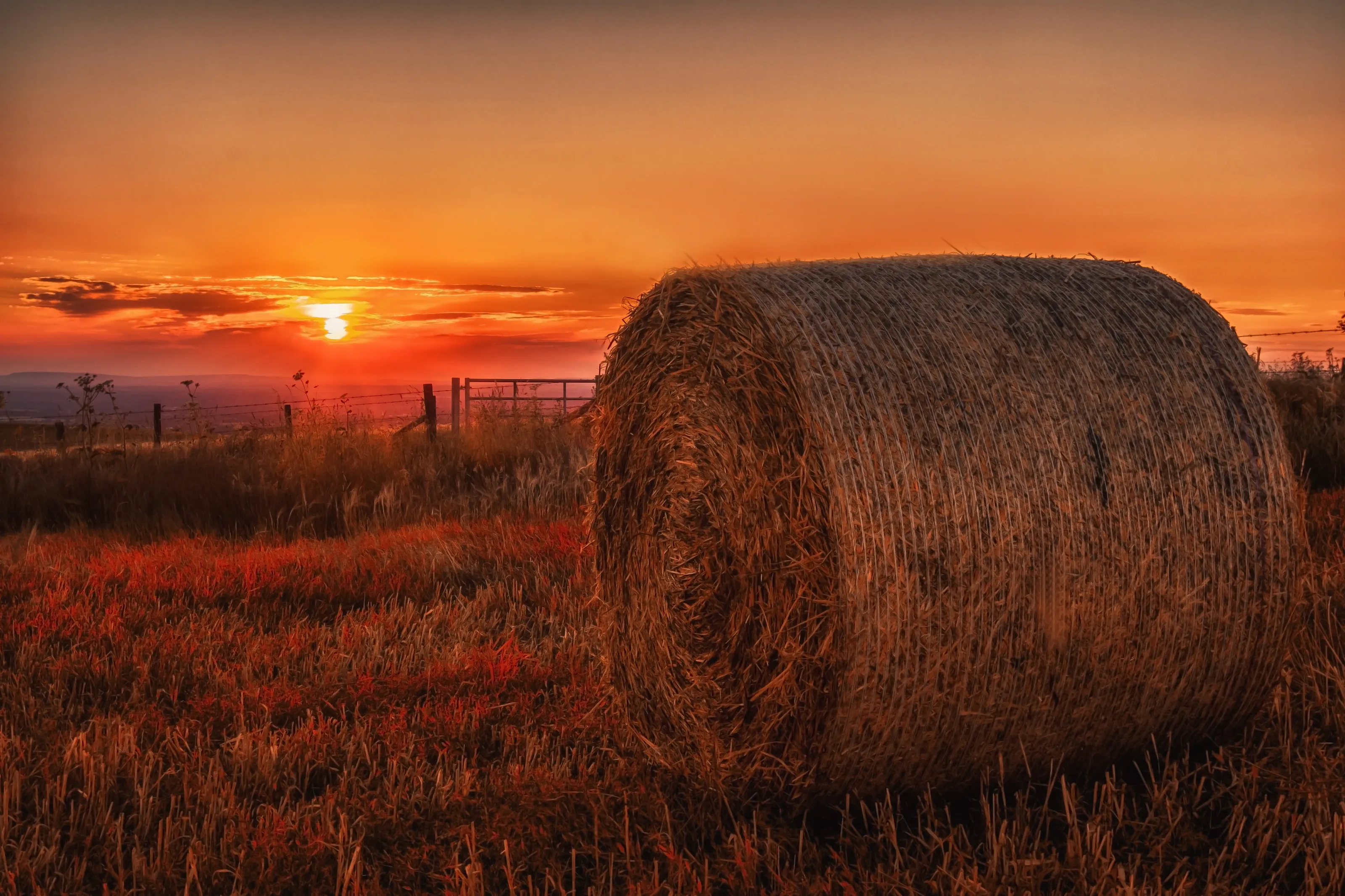 South Downs Sunset