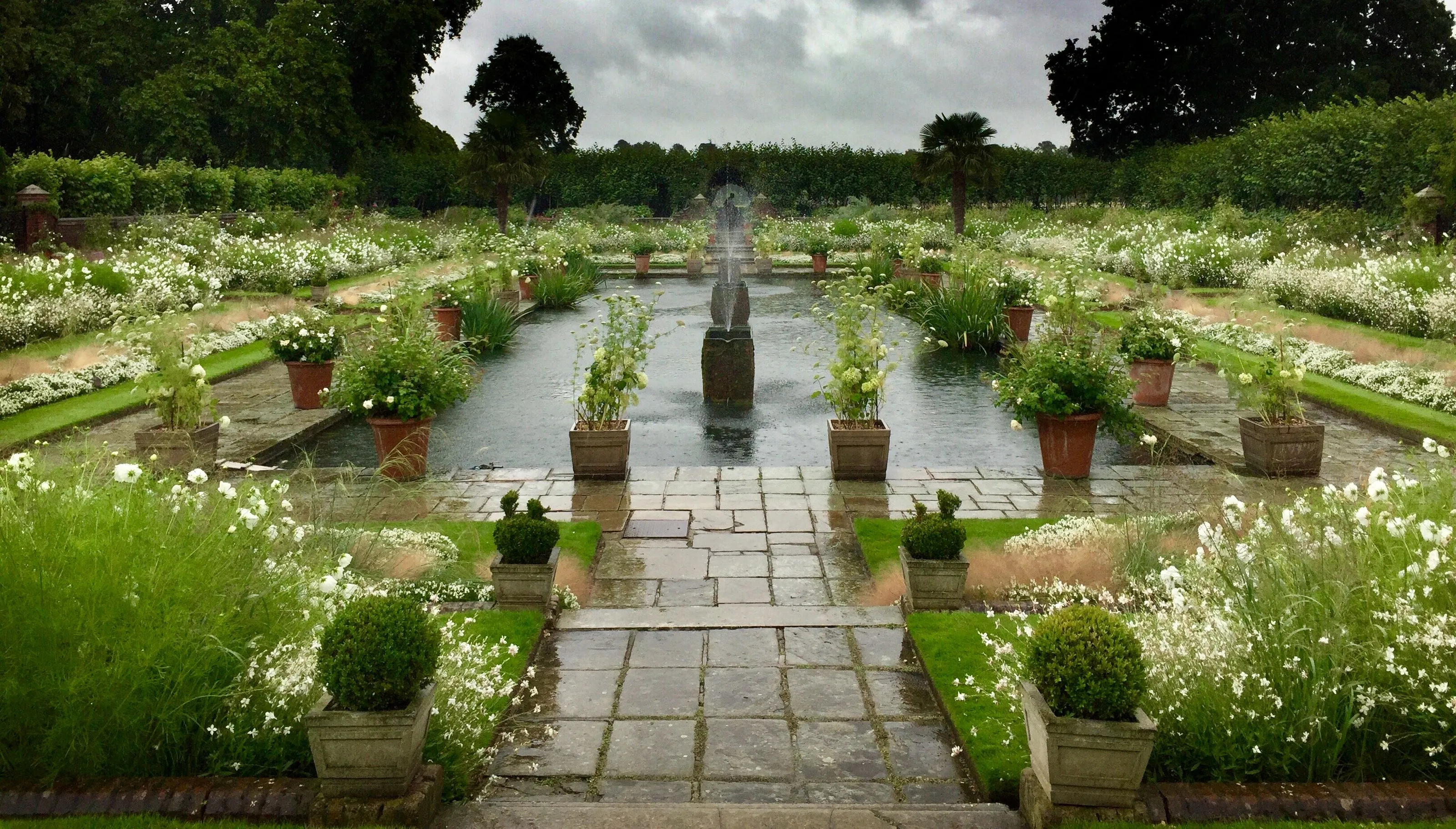 White garden in the rain