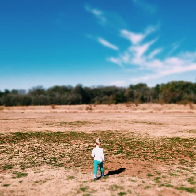 Field