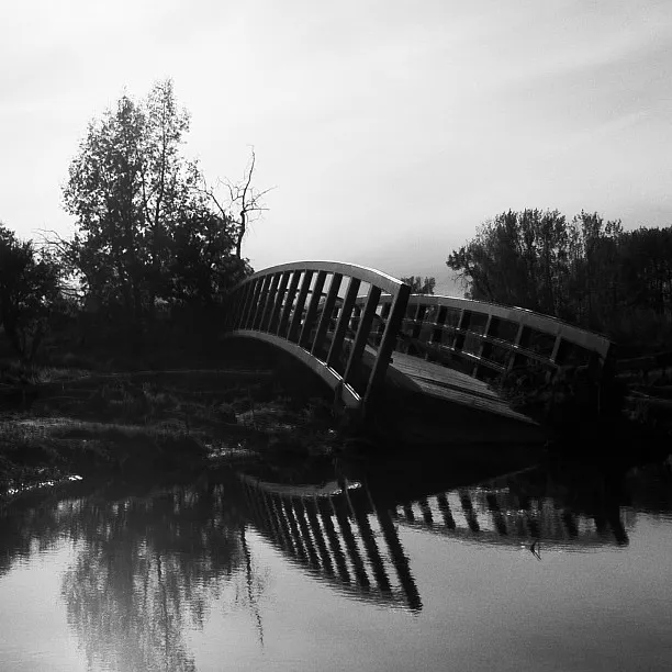 Bridge