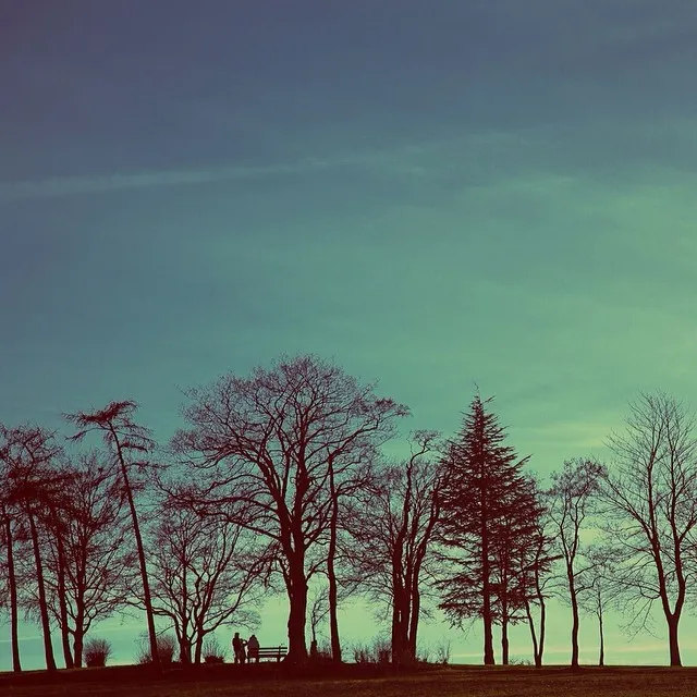 Trees