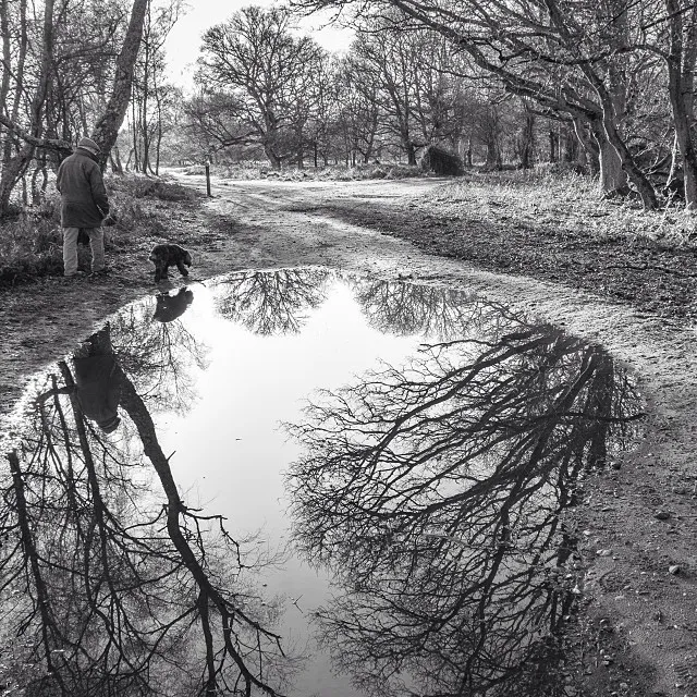 Reflection