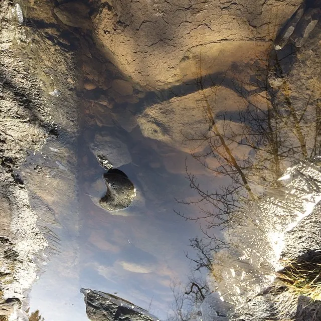 Reflection