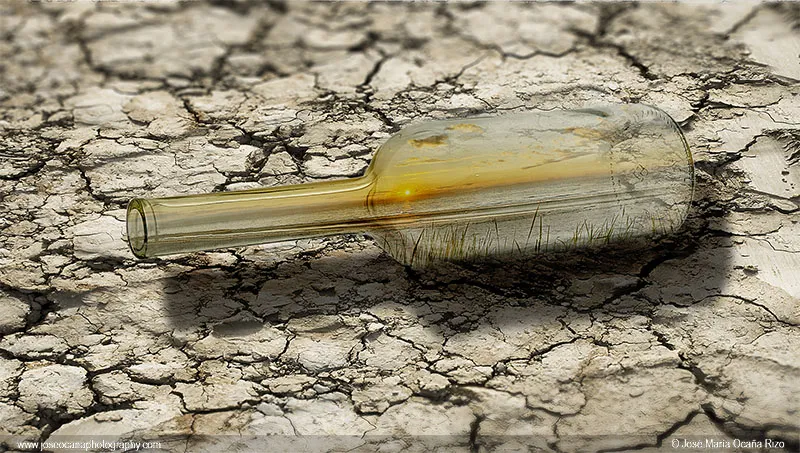 Bottle