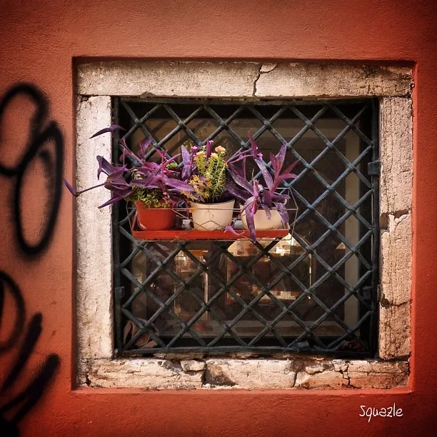 Window