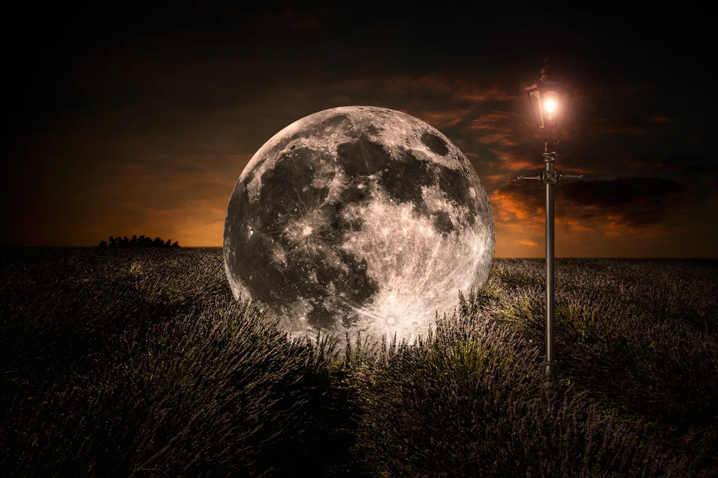 Moon