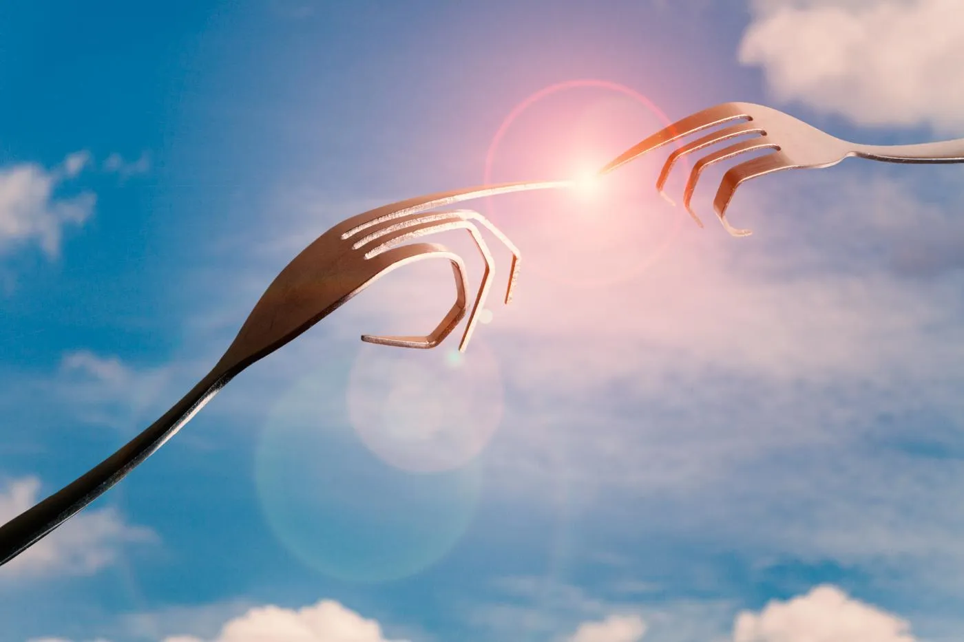 Forks