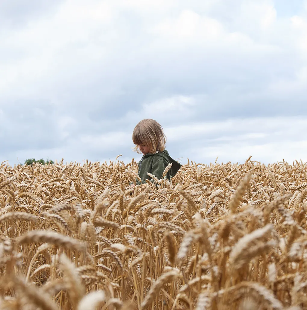 Rye