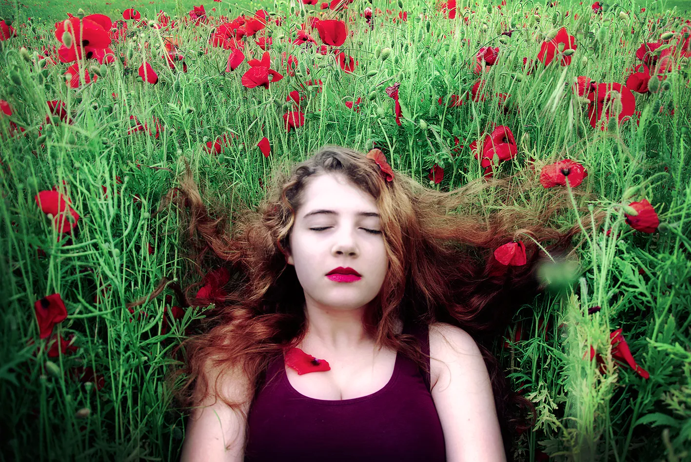 Poppies