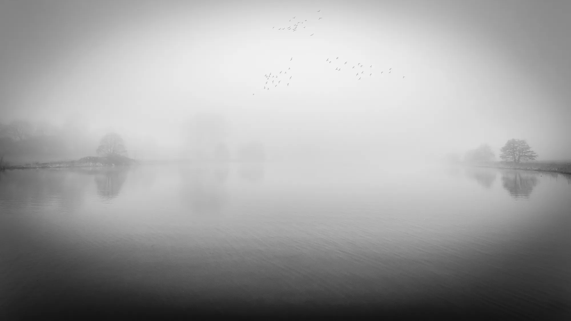 Foggy