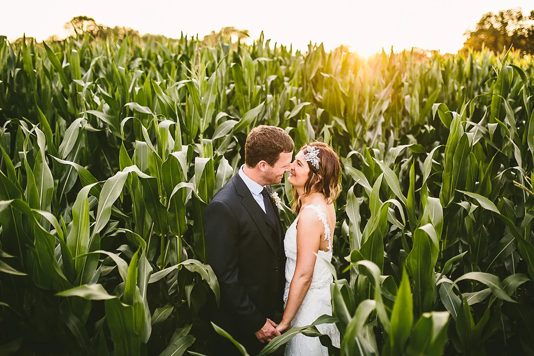 Fields