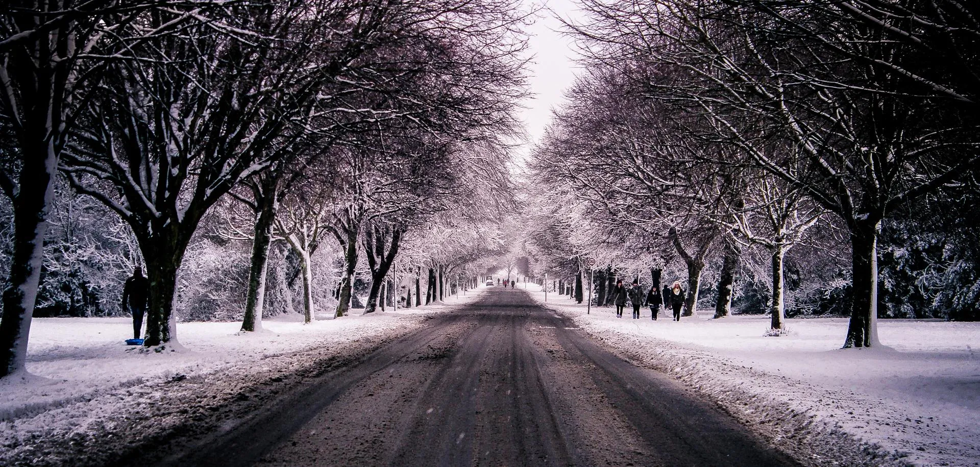 roadtonowhere