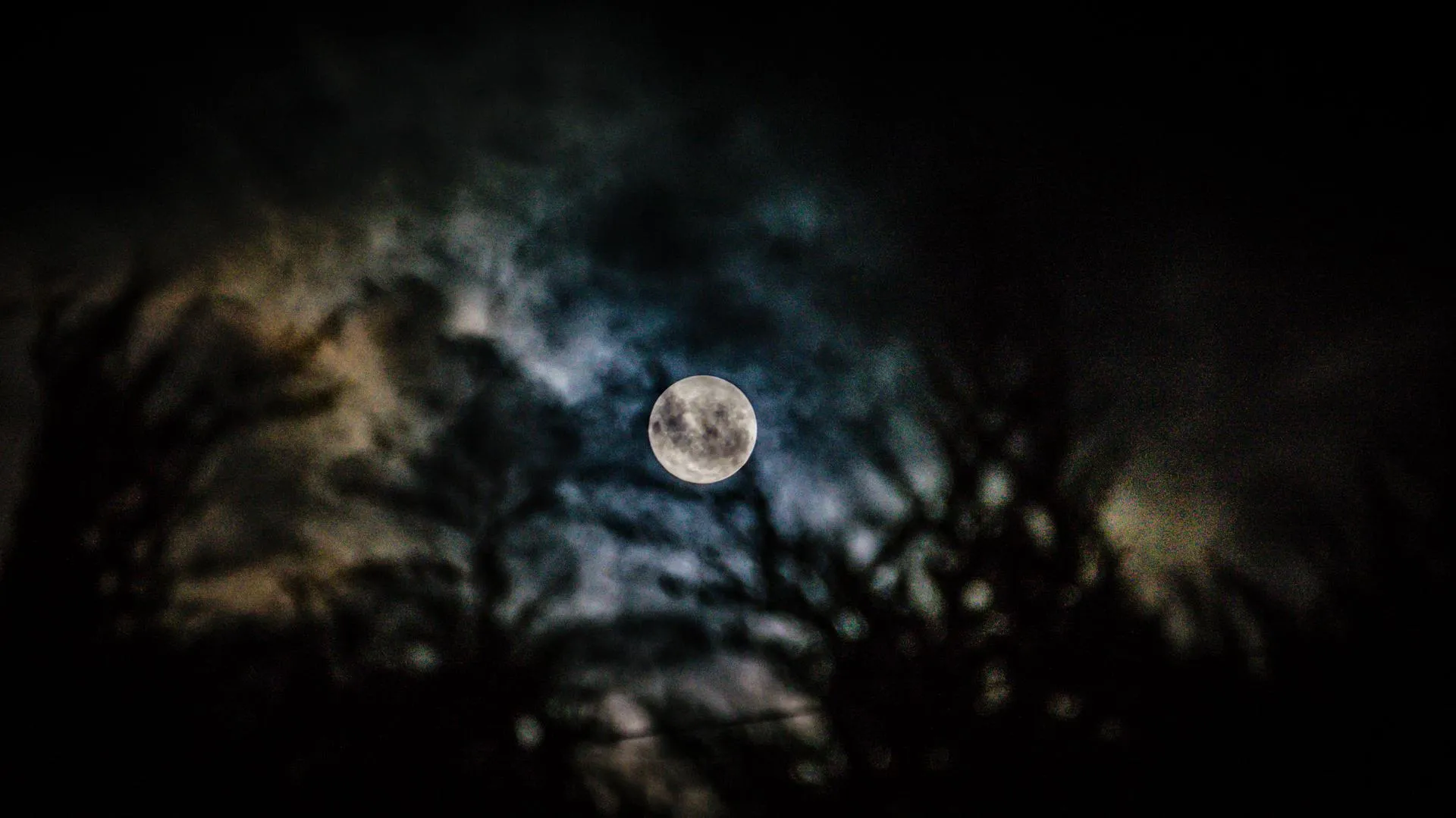 moonthroughthehedge