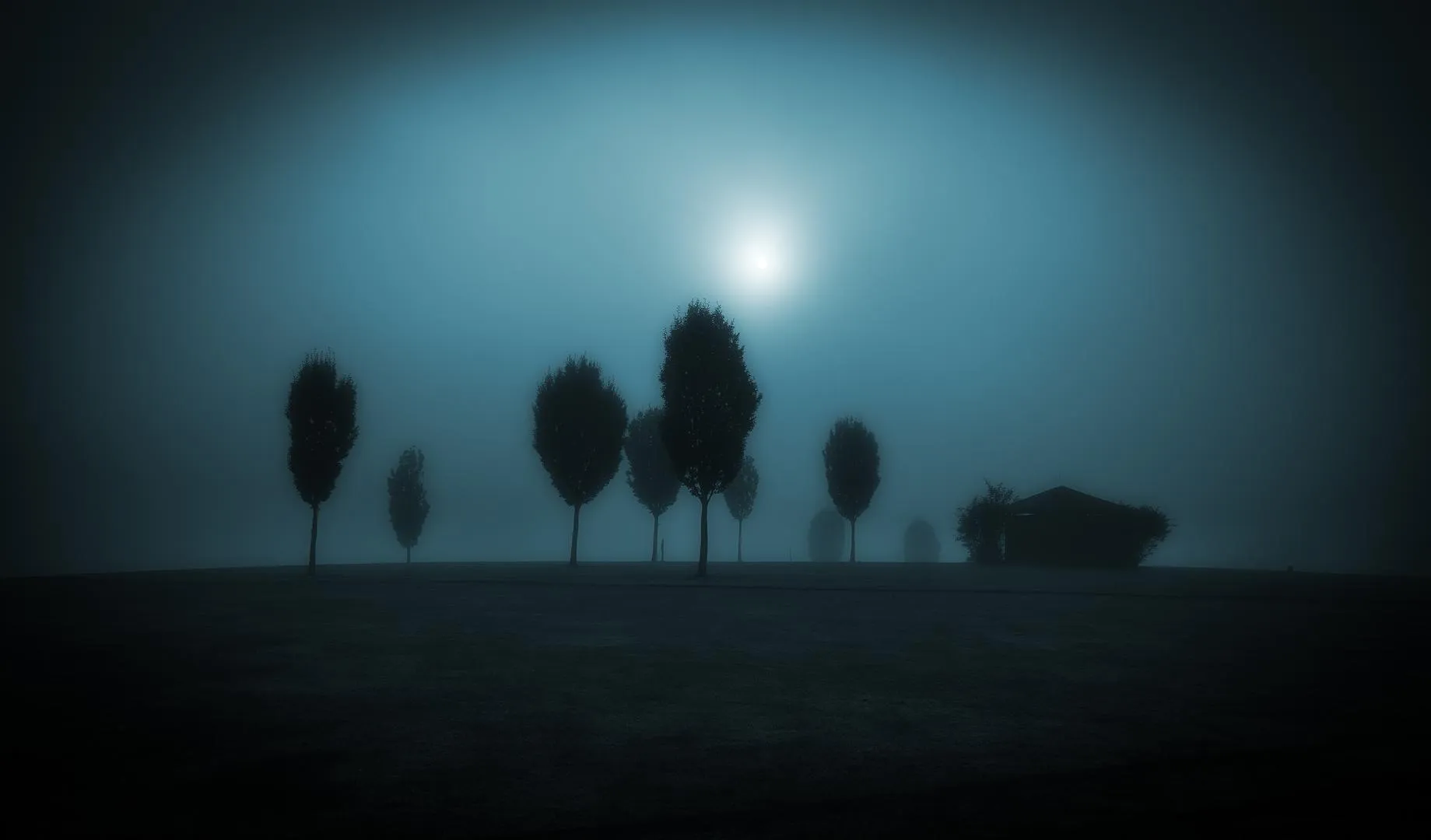 treesandhut