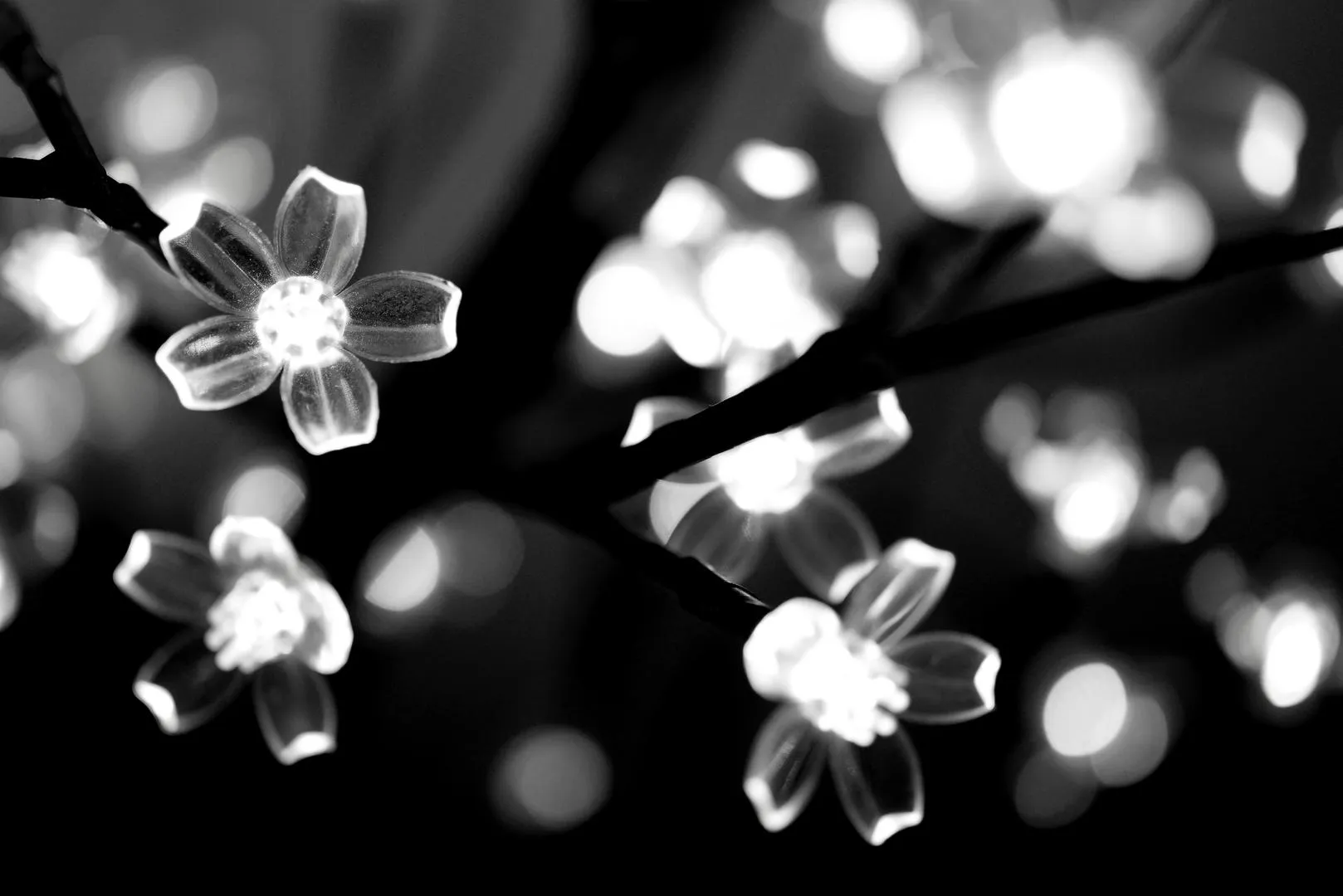 bokeh2