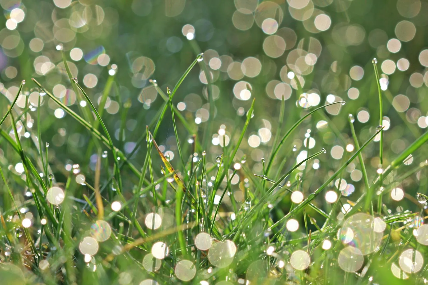 bokeh3