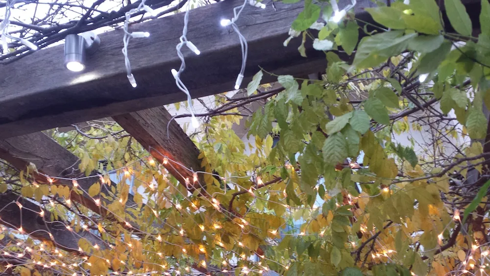 lights3