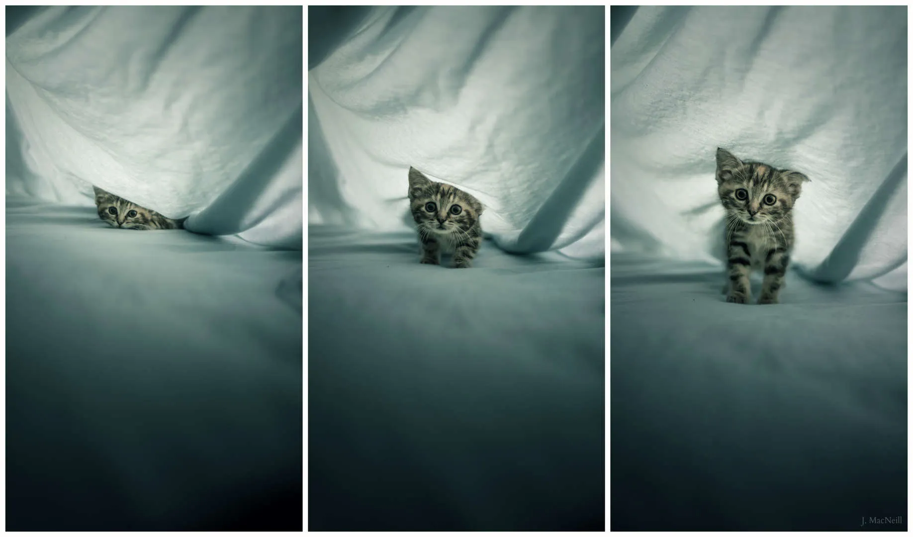 sheets