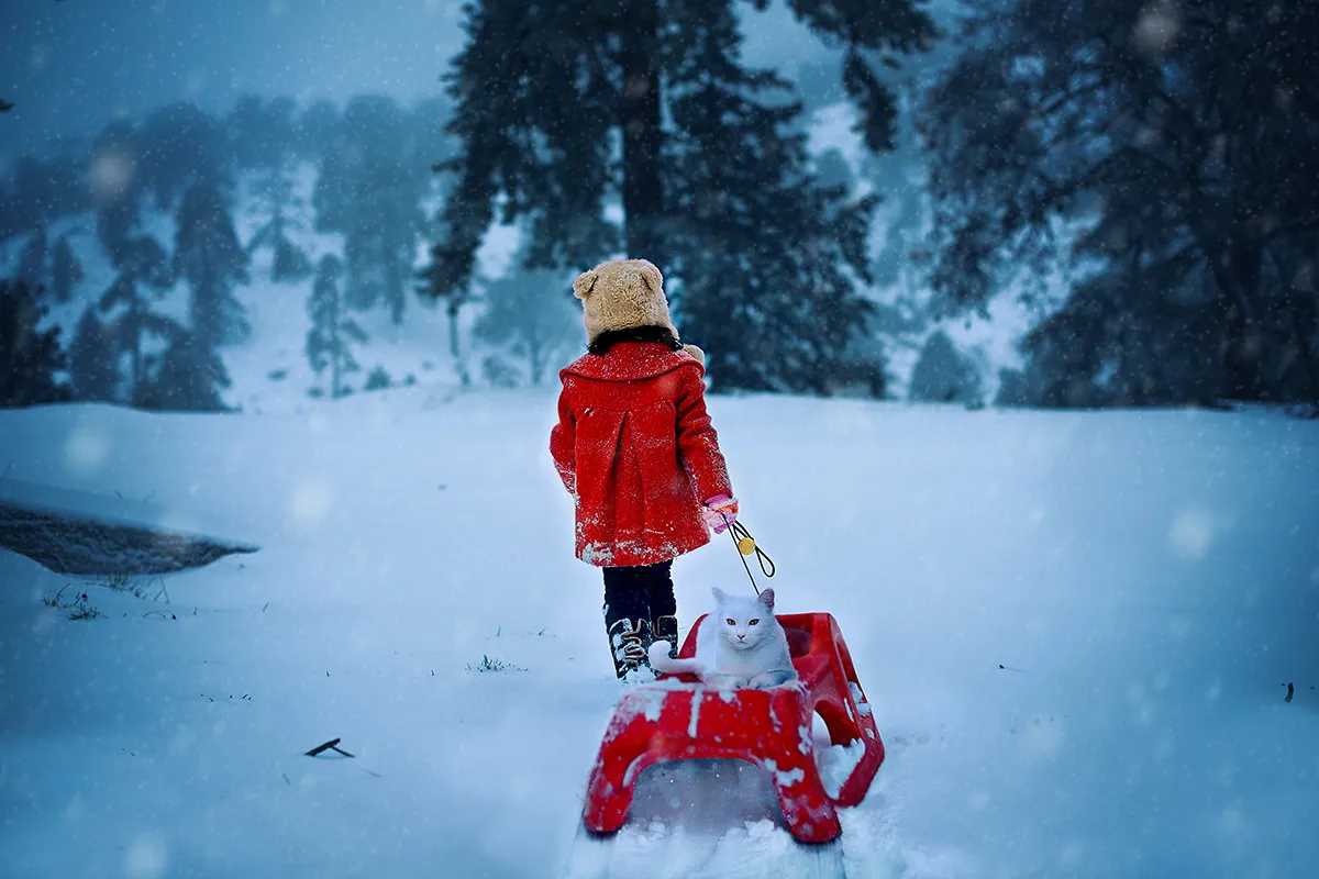 Photocrowd member spotlight: Interview with Elena Paraskeva