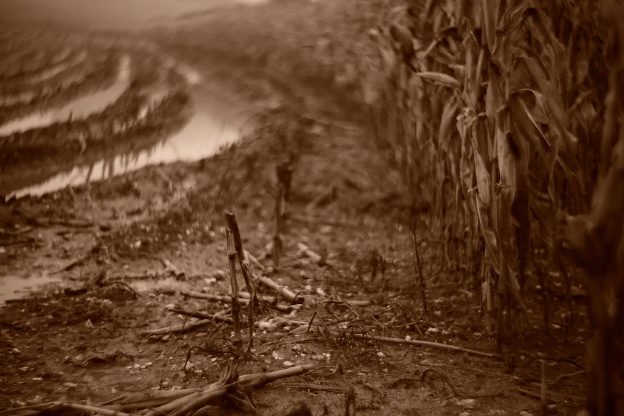 Behind the lens: Avebury 1847