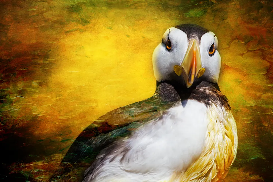 bird5