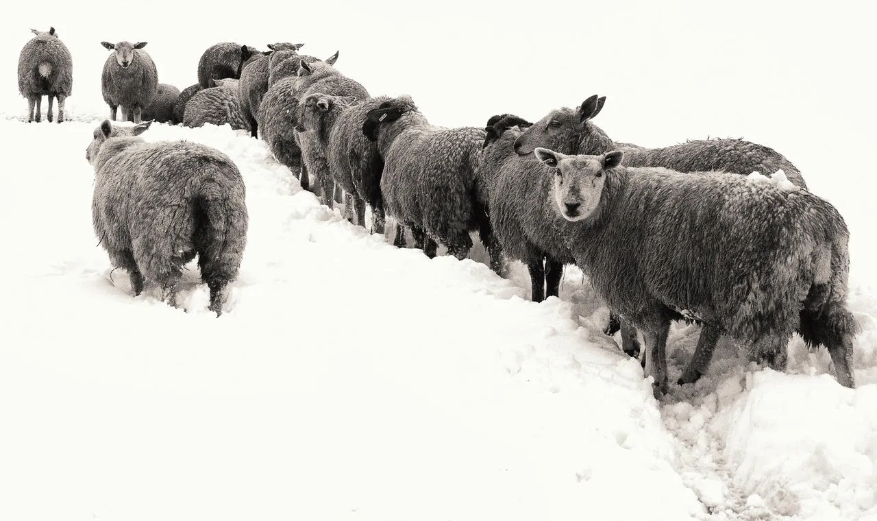 Behind the lens: The queue