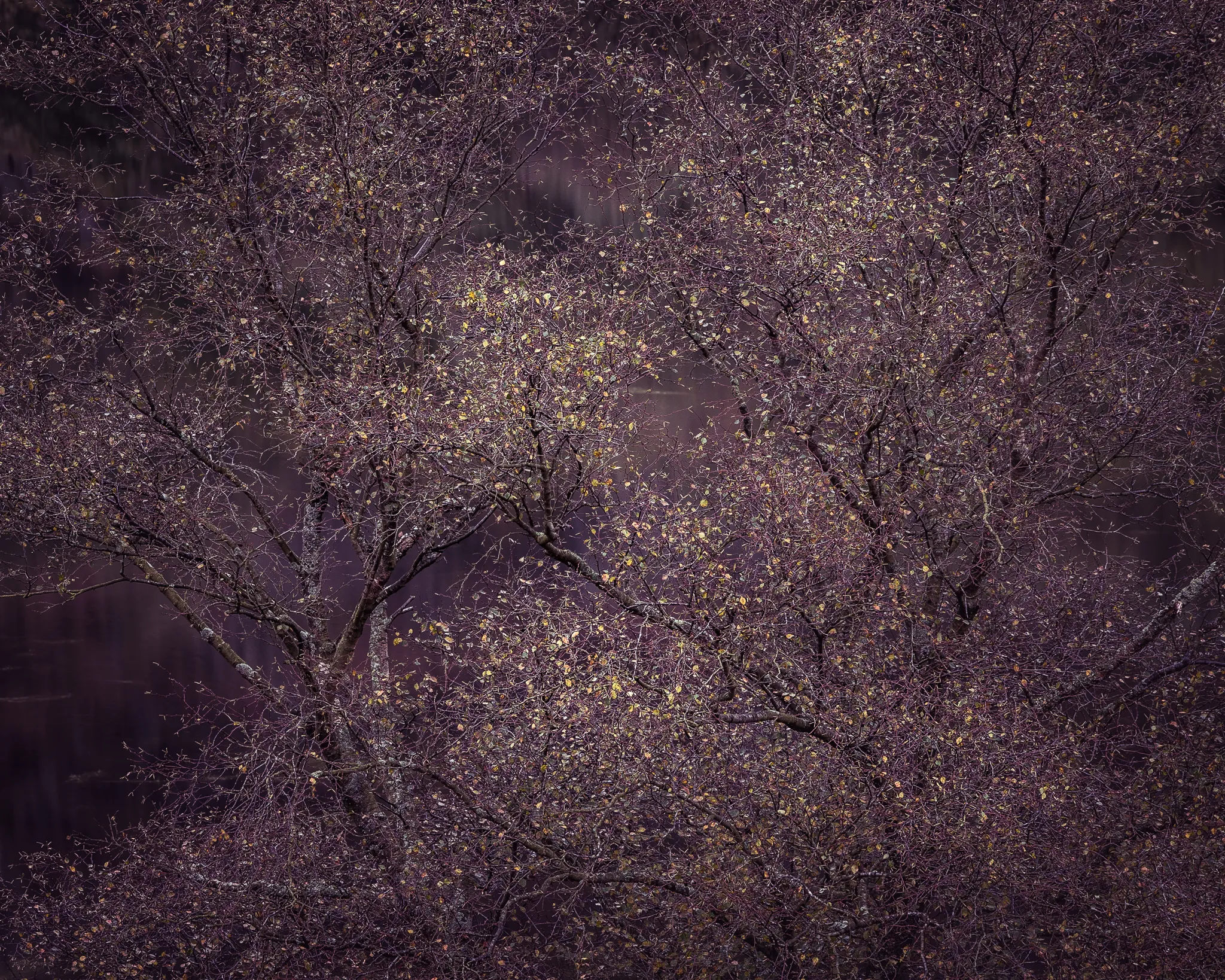 9 steps to shooting abstract landscape photography