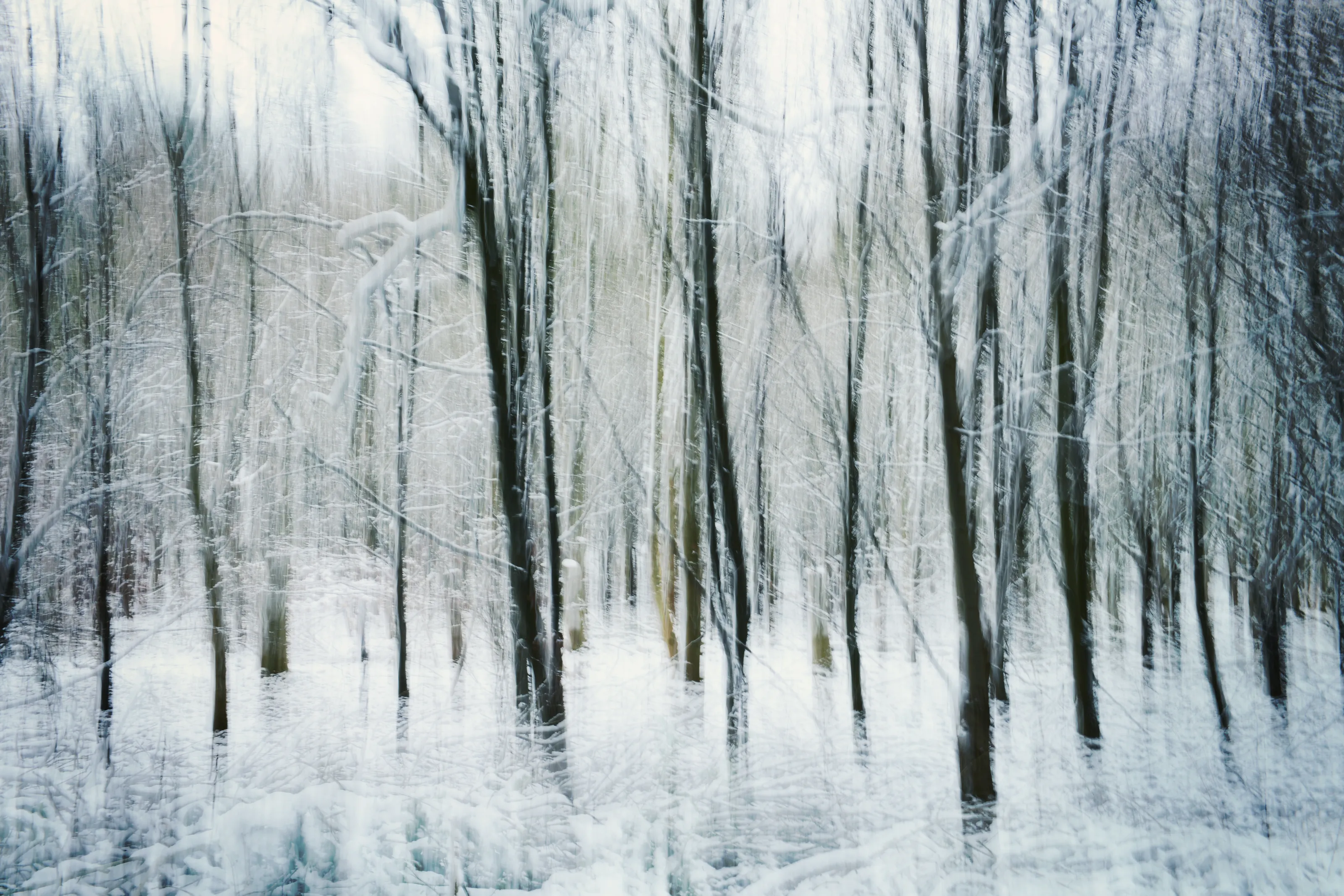 7 Winter Photography Tips from Photocrowd Photographers