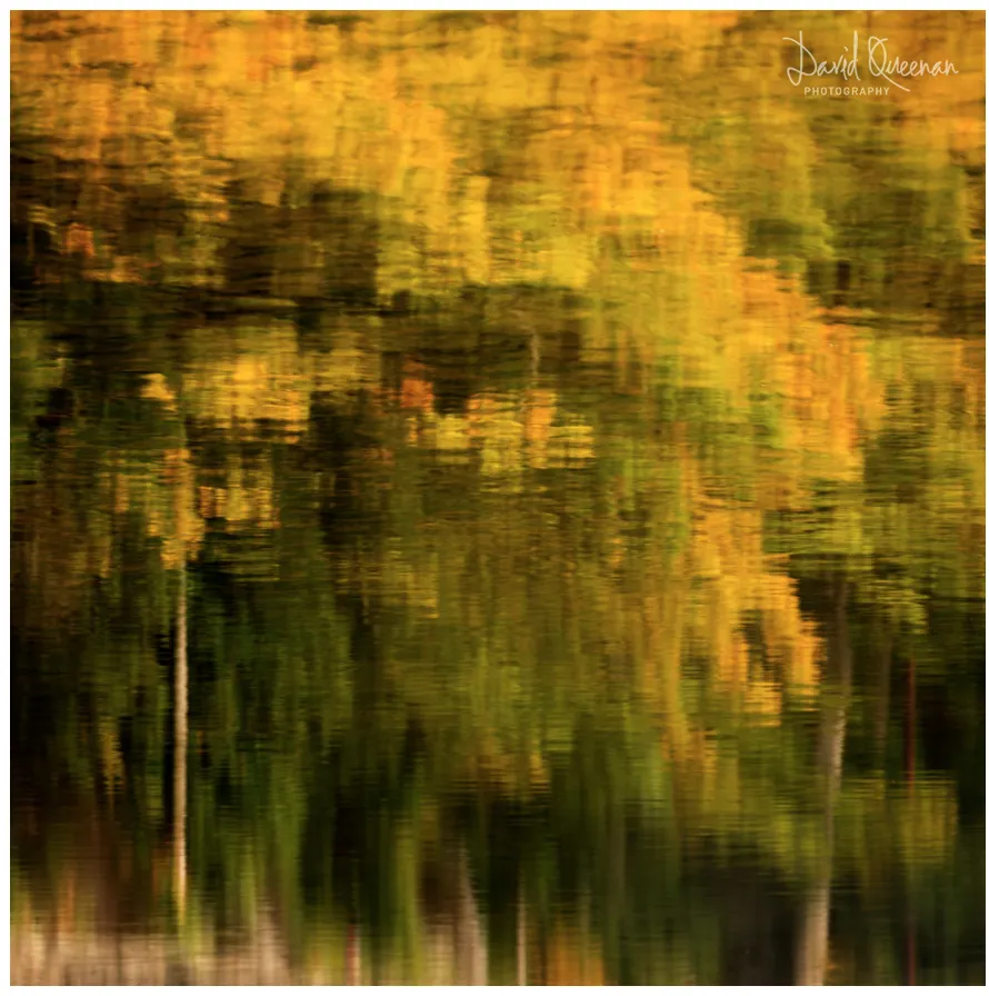 988