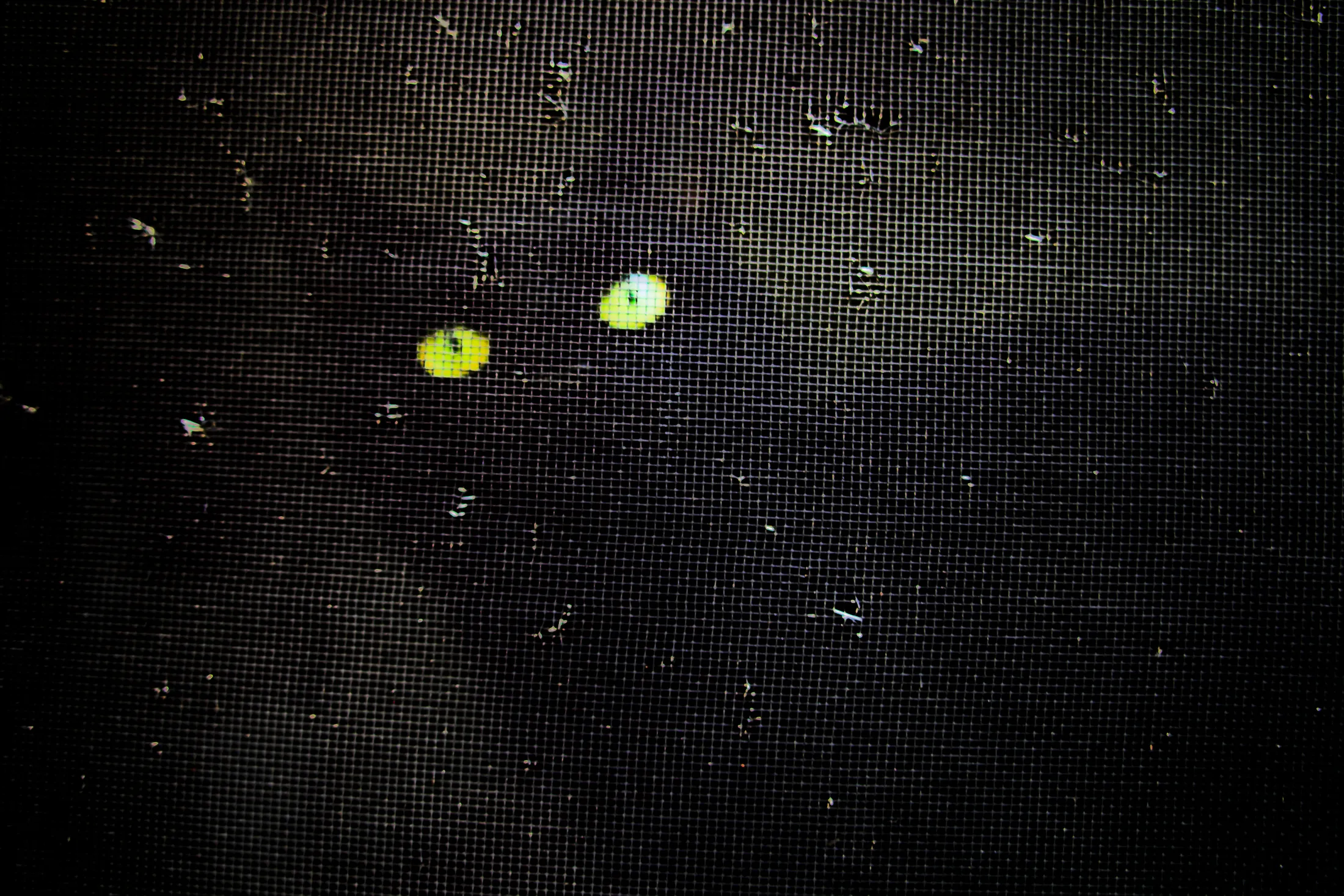 1059