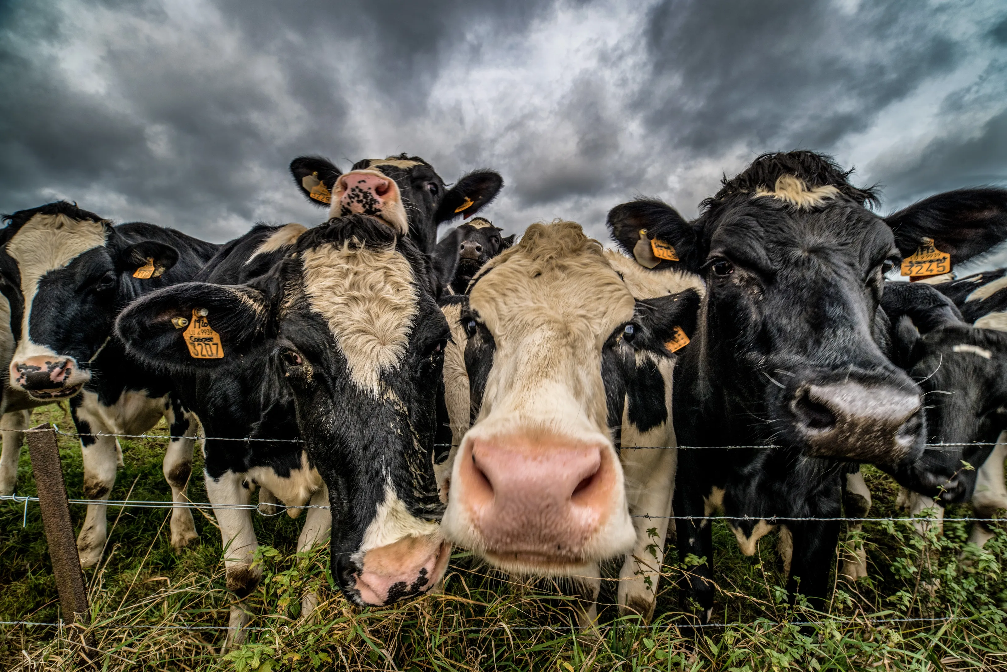 Down on the farm: 18 agricultural photography delights