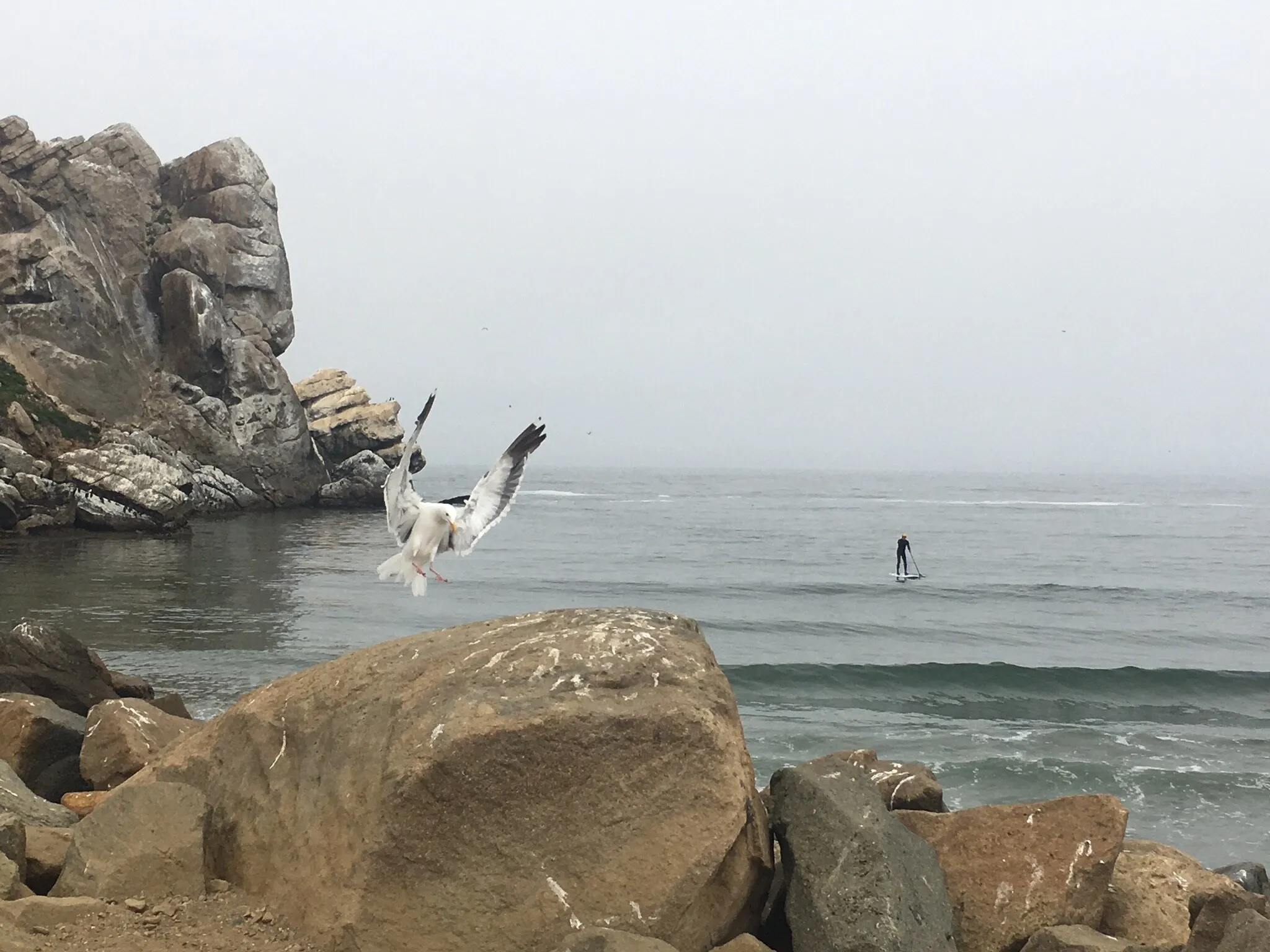 Coming in for a Landing