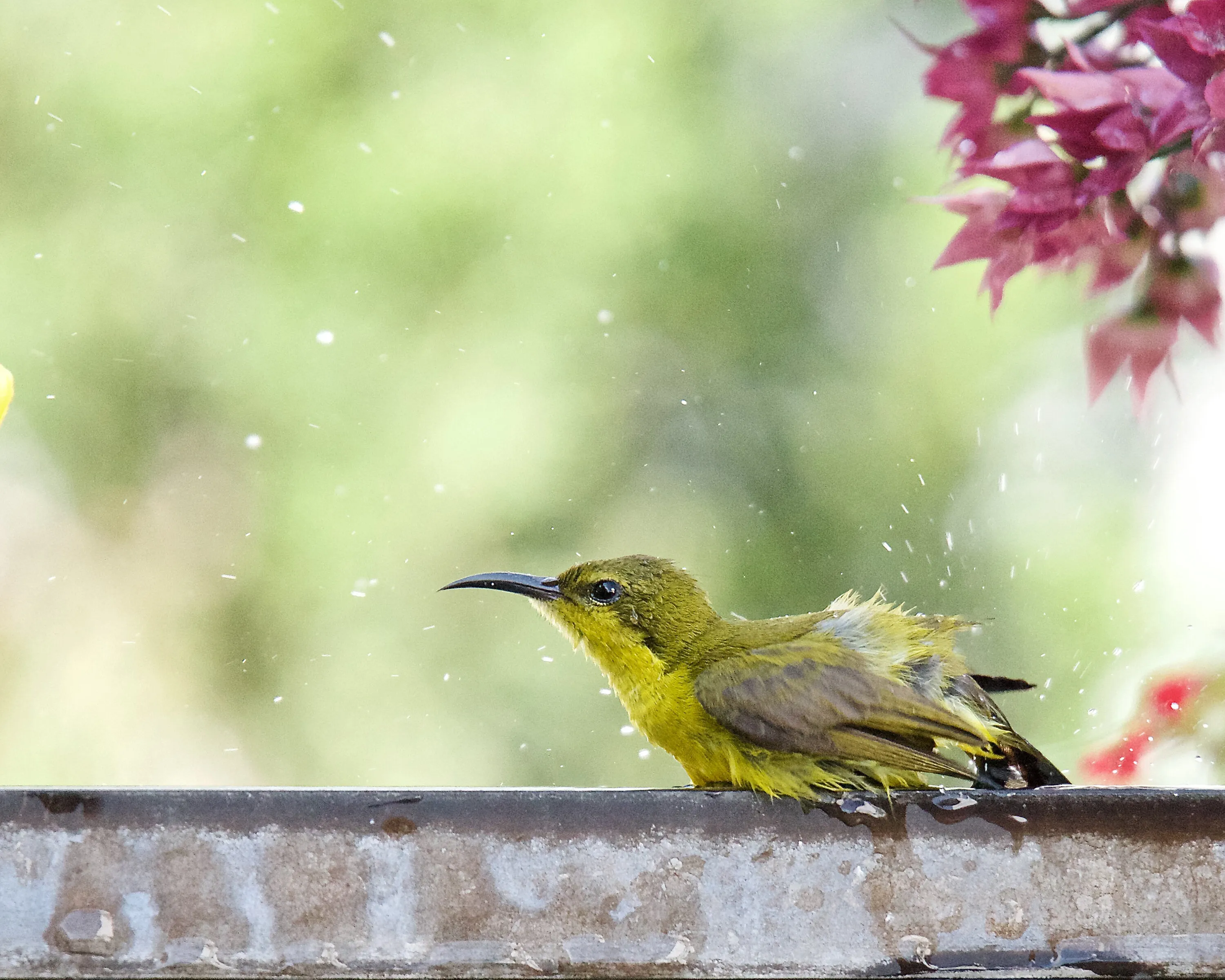 Cooling down