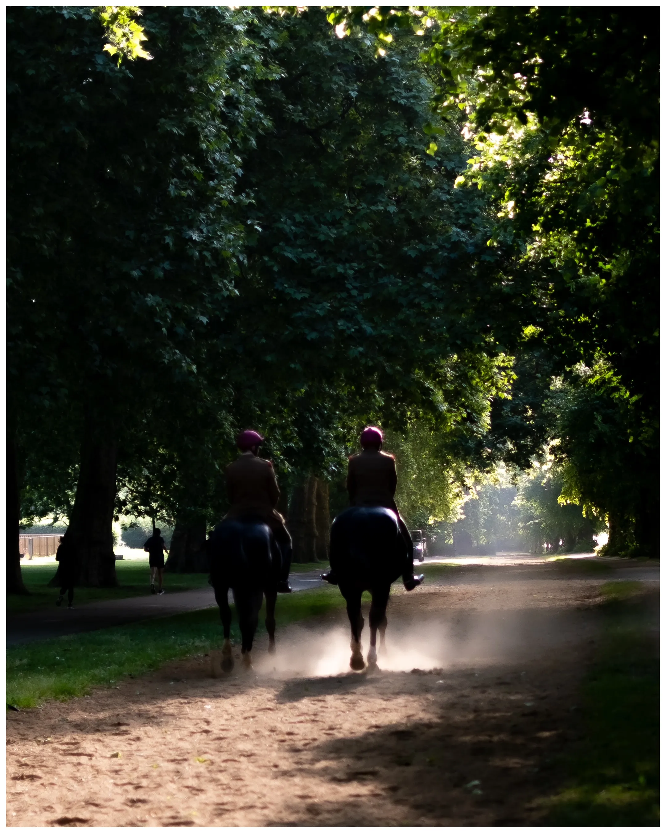 Morning Stroll