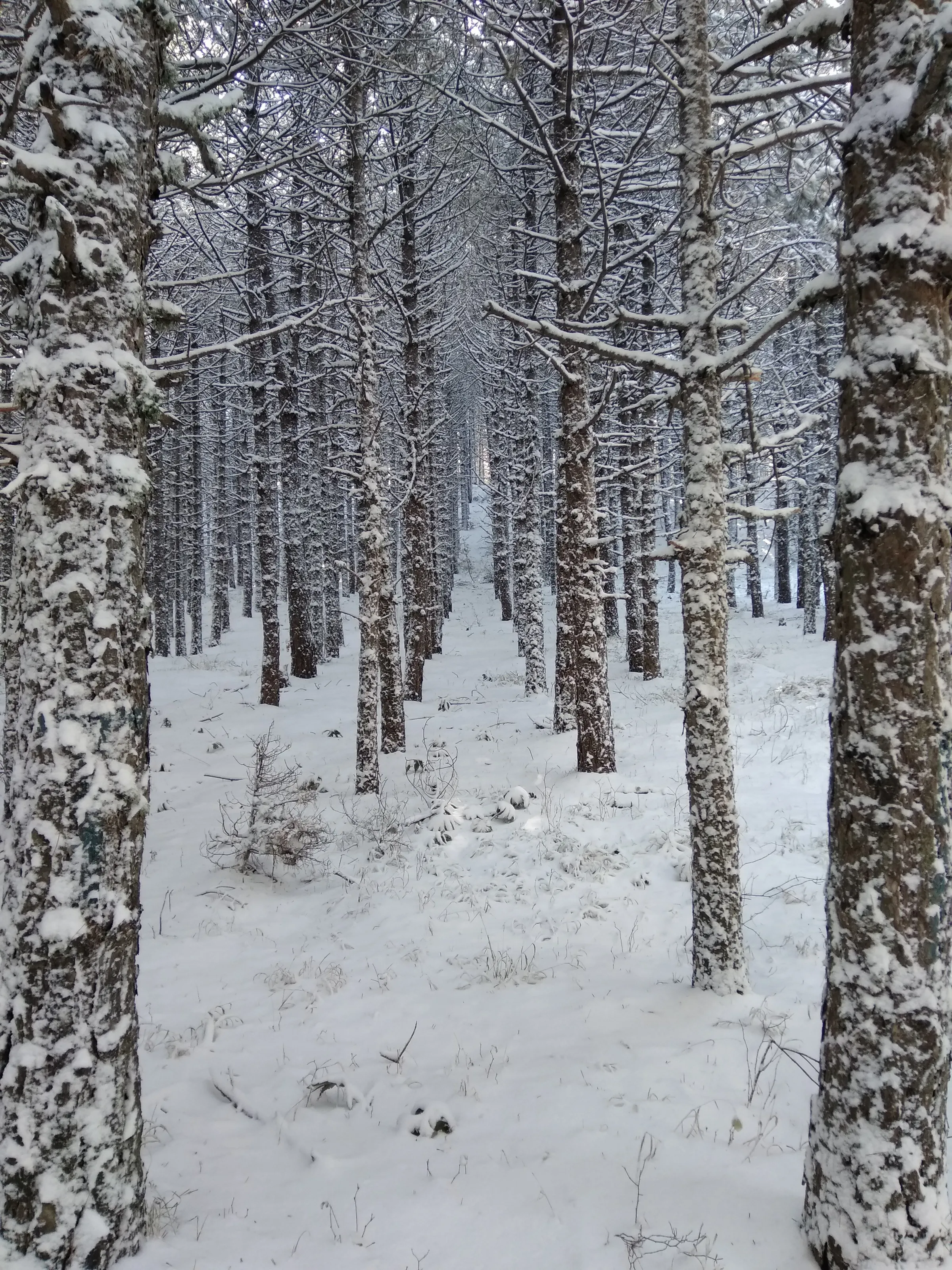 Inside the winter