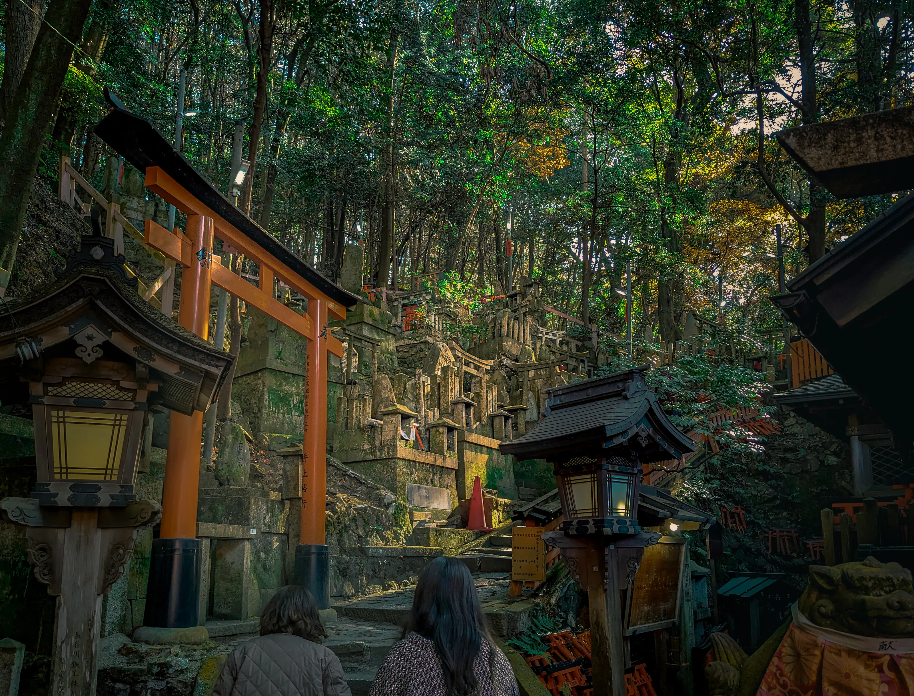 Whispers of the forest