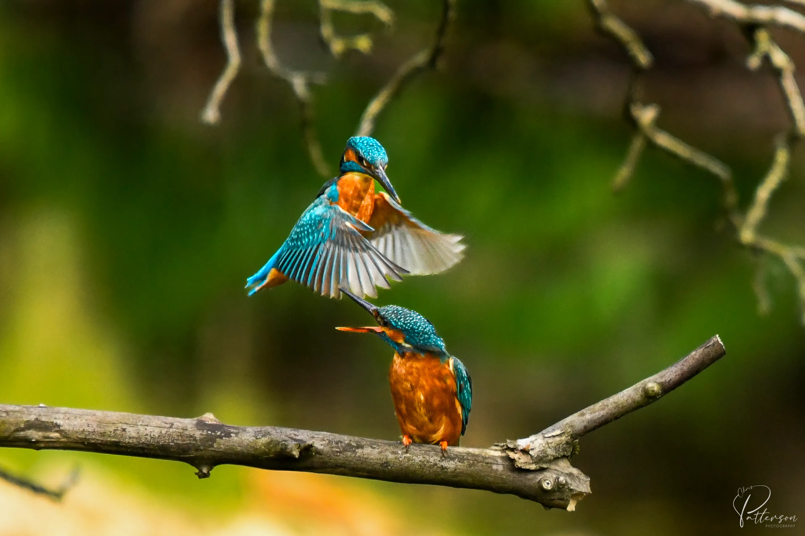 Fly By