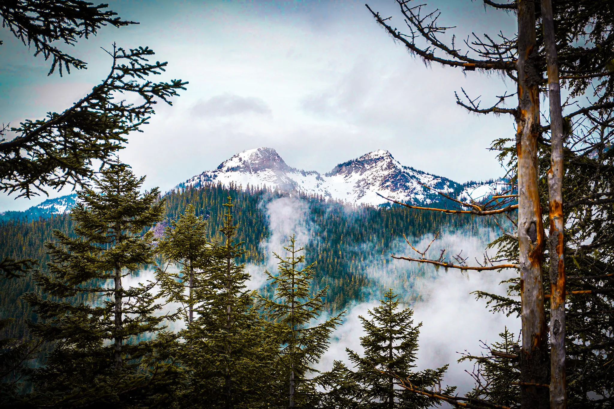 Mountains and the mist